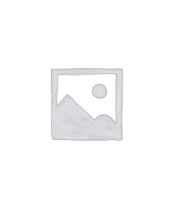 CMS Templates